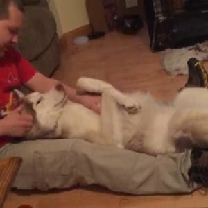 Meet your Posher, Gary